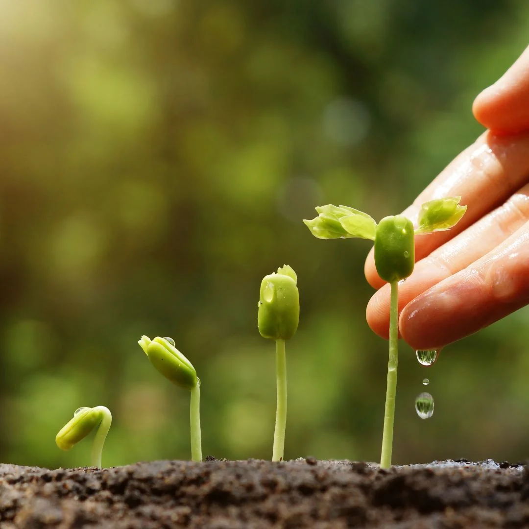 Subsidy in Agriculture: A Boon for Farmers and the Backbone of Food Security