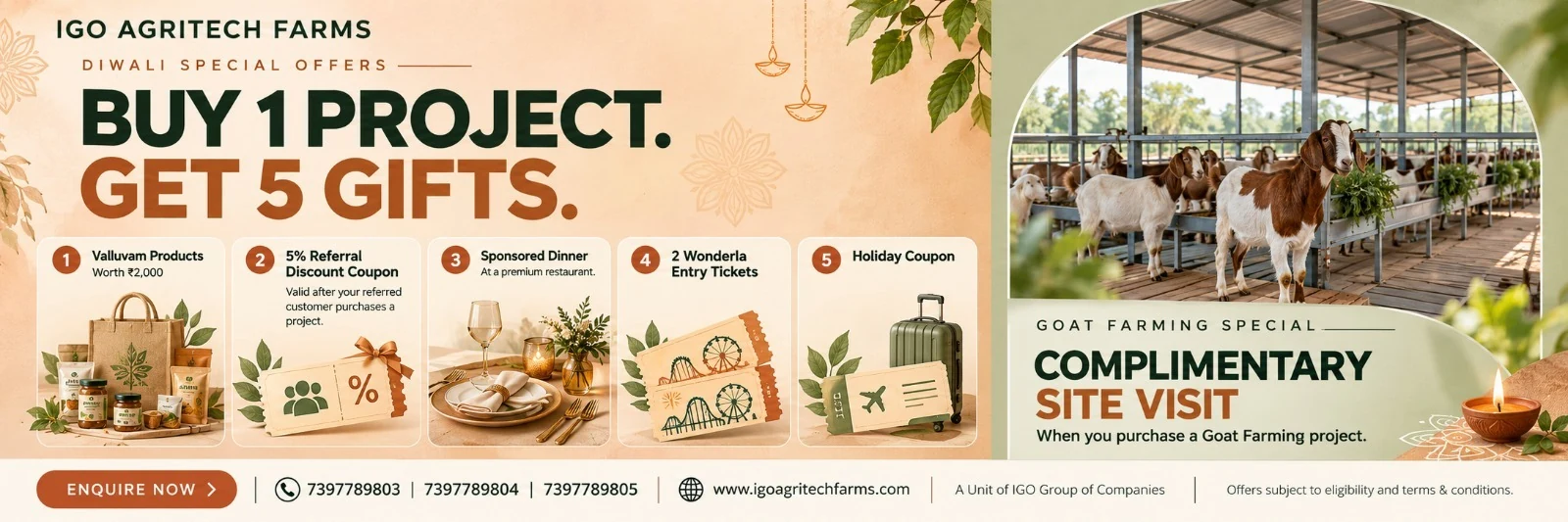 IGO Offer