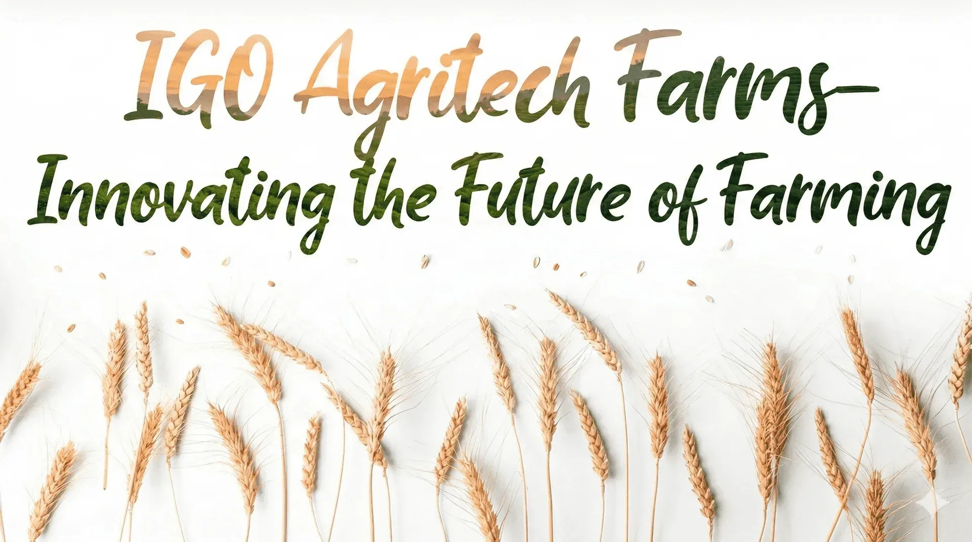 IGO Agritech Farms - Innovating the Future of Modern Farming