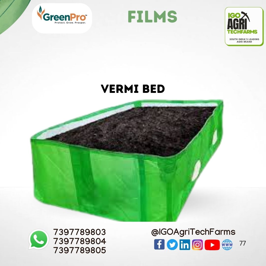 VERMI BED 