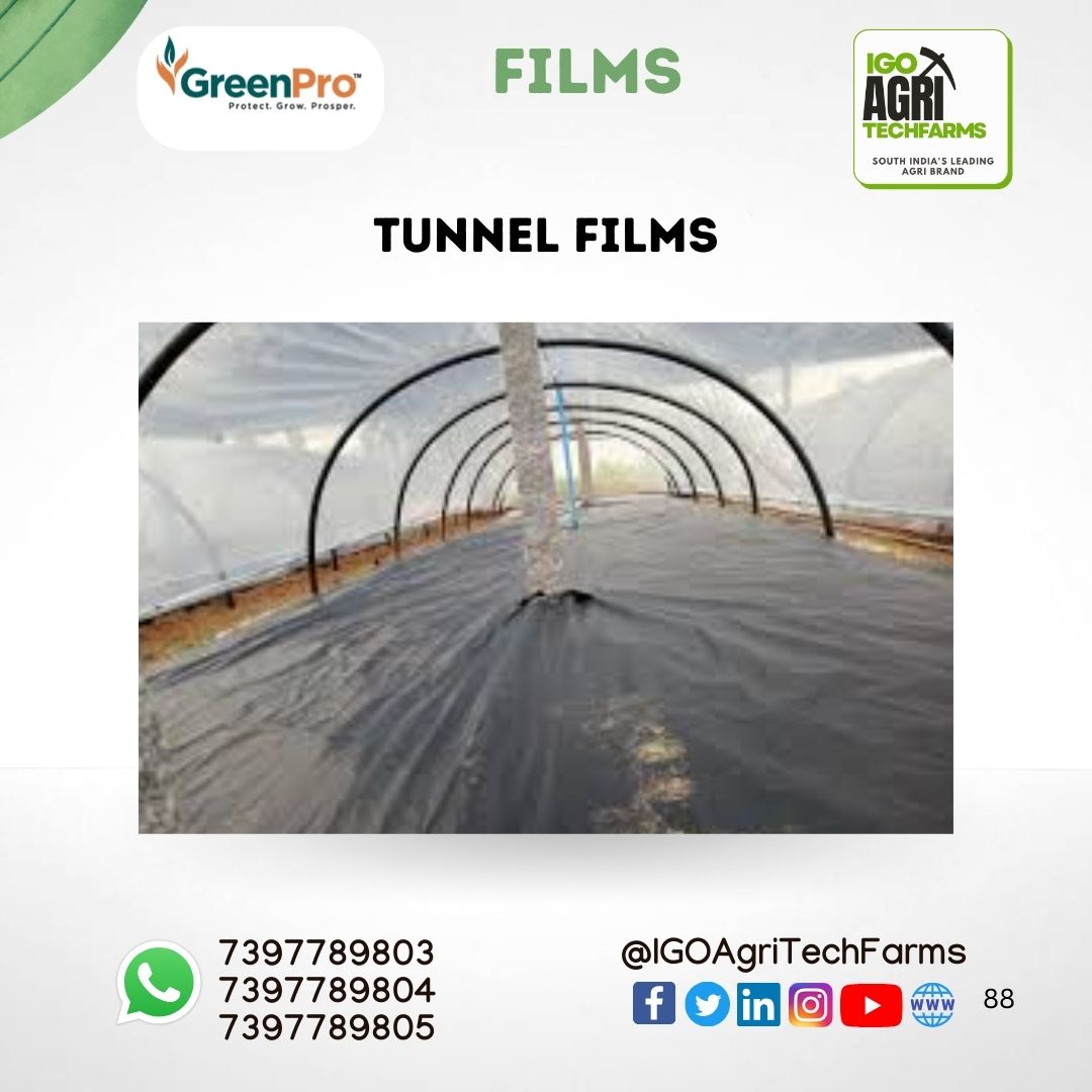 TUNNEL FILMS