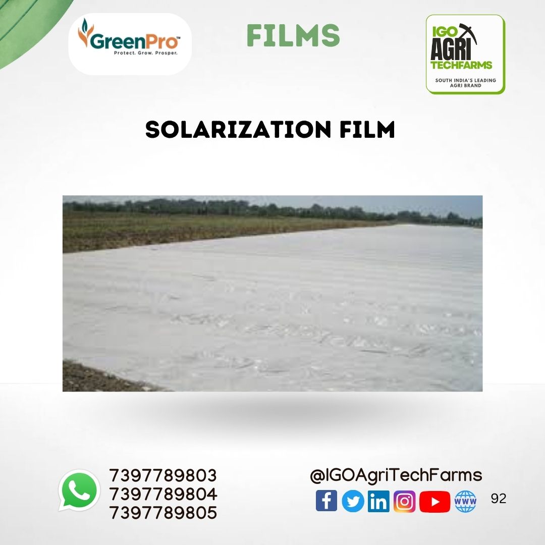 SOLARIZATION FILM