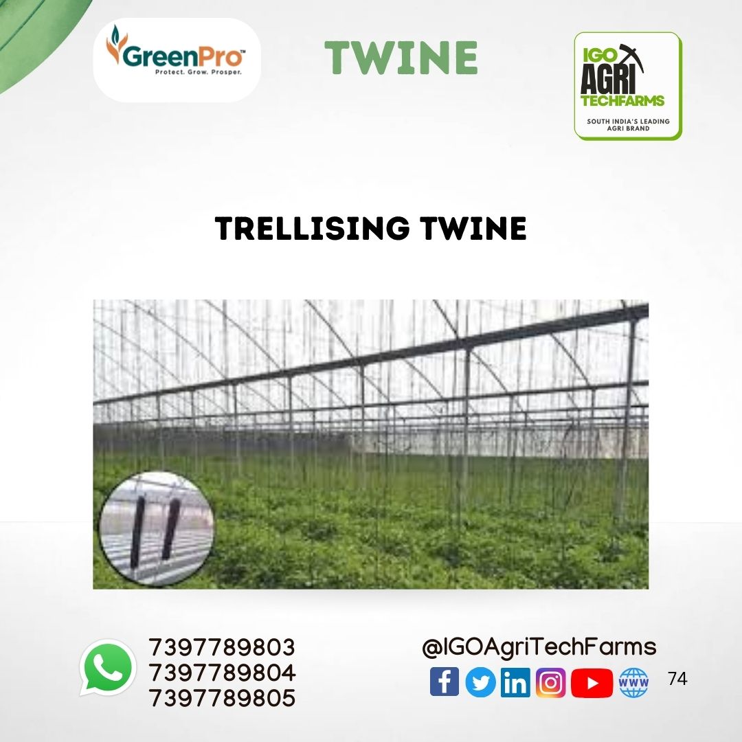 Twine